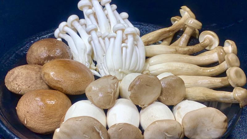 梅州菌菇冷库保鲜方式及建造温度